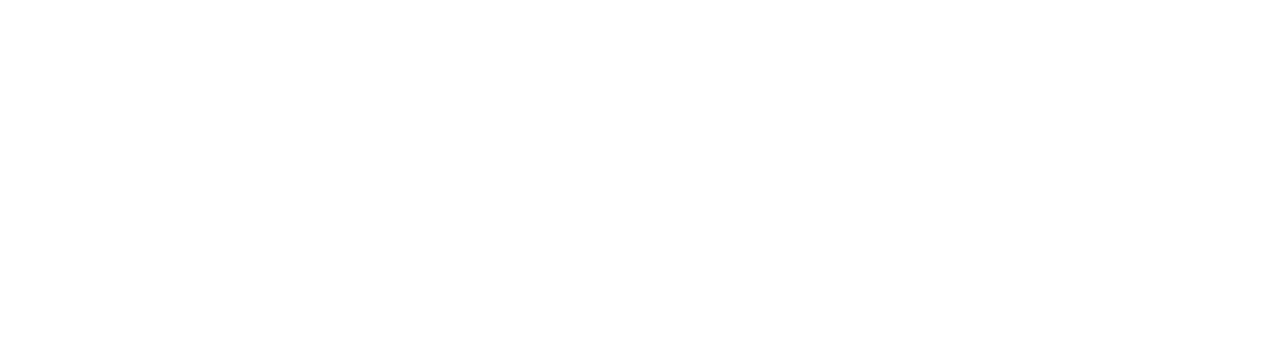 ESG News Agency Logo White