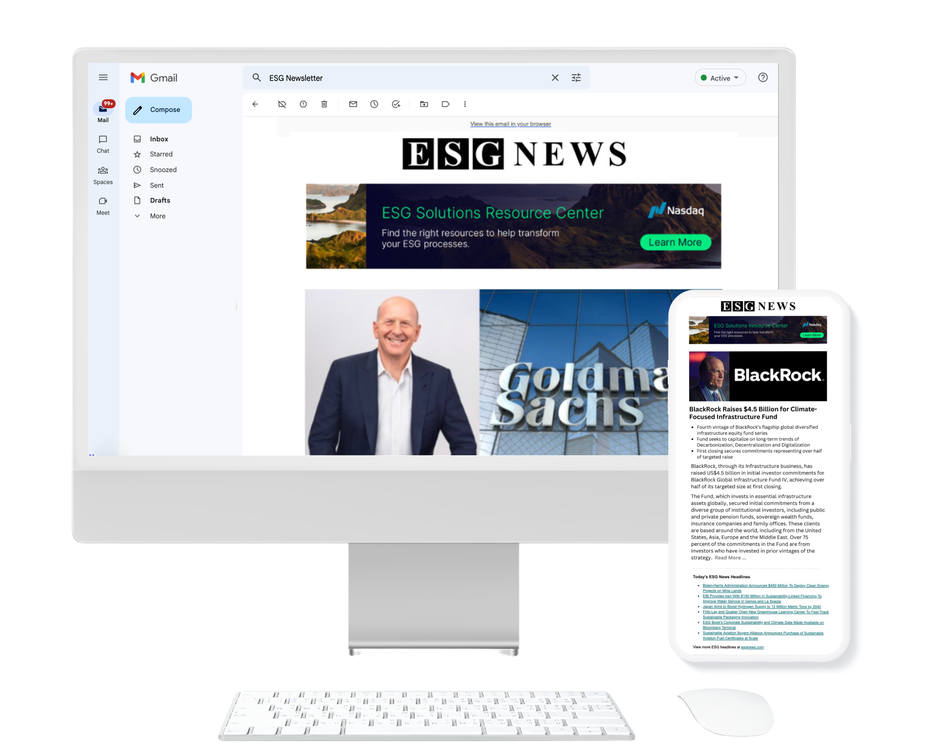 ESG Newsletter Mockups 2